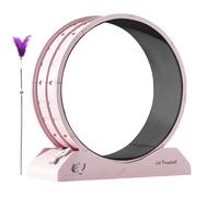 Cat Training Wheel, Weight Management for Kittens with Balance Wheel Function, Running Wheel for House Cats for Weight Loss with Quiet Kitten Walking Machine