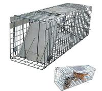 Cat Trap for Stray Cat - Folding Humane Animal Trap Cage for Squirrel, Raccoon & More -Catch Trap - Rust Resistant & Long Lasting