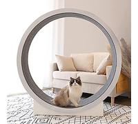 Cat Treadmill Exercise Wheel for Small Medium Pets, Silent Running Machine for Indoor Cat Climbing and Fitness