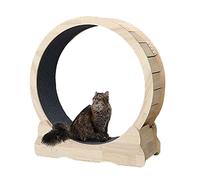 Cat Treadmill Exercise Wheel Walking Workout Fitness Weight Loss Device with Carpeted Runway for Pet and