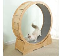 Cat Treadmill, Pet Cat Exercise Wheel Running Spinning Toy Silent Cat Treadmill With Non-Slip Track Smooth Run Freely, For Cat Indoor Exercise,M
