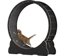 Cat Treadmill, with Carpeted Runway, Pet Treadmill Running Machine with Brake, Scratching Pads, Cat Exercise Wheel for Health, Perfect for your Energetic Cat,Black-M