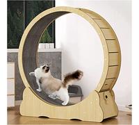 Cat Treadmill with No Gap Design, Running Wheel Fitness Weight Loss Device, Quiet and Sturdy Hamster for Kittens, Low Noise Cute Furniture Mall/Medium/Large Cats,White-XL