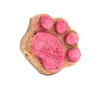 Cat Treats for Indoor Cats - Cat Snacks Cat Paw Biscuits | Healthy Cat Treats, Paw Shape Cat Food Treats, Cat Biscuits Dry Cat Treats Natural, Training Biscuits Treats