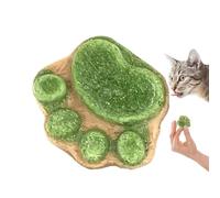 Cat Treats - Paw Cats Treat Snacks - Crunchy Healthy Food - Natural Ingredients - Chicken Pumpkin, Dragon Fruit, Sweet Potato & Grass for Indoor and Outdoor Cats