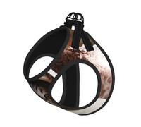 Cat Under Blanket Compact Pet Suspender Vest-The Perfect Small Pet For A Comfortable Walk