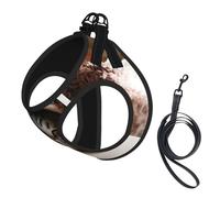 Cat Under Blanket print Dog Harness, 2X Buckle,Dog Vest,No Pulling Front Leash Clip,for Small Medium Dogs