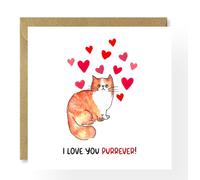 Cat Valentine's Day card, punny valentine's day card from the cat, you are perfect to me, cat lover card, cat mum valentine's day card, cat dad card