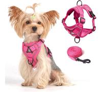 Cat Vest Harness and Leash Set, Escape Proof Adjustable Harness for Large Cats and Small Dogs, Soft Breathable Mesh with Reflective Strip for Outdoor Walking (XL, Pink)