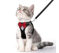 Cat Vest Harness and Leash Set for Walking Escape Proof, Adjustable Kitten Harness Breathable Mesh with Reflective Strips Harness for Kitty Puppy Bunny (Black,M)