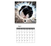 Cat Wall Calendar 2027 Jan - Dec 2027 Wall Planner Selfie Cat