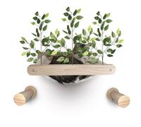 Cat Wall Furniture Set, Cat Hammock and 2 Round Steps for DIY Cat, Wall Shelves, Cat Window Perch, Cat Climbing Wall