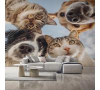 Cat Wallpaper, Dog Cut Animal Wall Mural, Wallpaper for Bedroom Living Room, Home Decor, Photo Wall Paper, 260 x 175 cm L&OP121