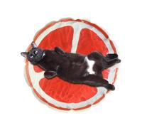 Cat Water Bed - Inflatable Water Mat, Sensor Cooling Playmat | Interactive Thickened Water Mat with Water Sensor, Bored Indoor Cats Kittens Pet Enhance Movement Mat Carpet for Pets Cats Dogs