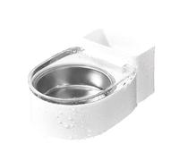 Cat Water Bowl Toilet Shaped Hilarious Raised Dispenser