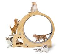 Cat Wheel 5-in-1 Upgraded Exercise Treadmill for Indoor Cats，Cats Treadmill with Silent Running,Tunnel,Wheels for Indoor