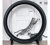 Cat wheel, Cat Exercise Wheel Pet Running Machine Silent Treadmill - Fitness