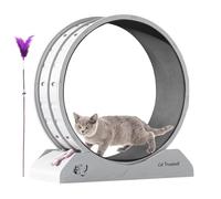 Cat Wheel Executor | Fitness Equipment for Kitten, Great Exercise Wheels for Feline with This r Indoor Jacks, Safety Kitty Treadmill with Teaser