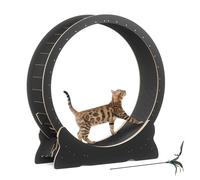 Cat Wheel Exercise Treadmill for Indoor Cats, 43.3 Inch XL with Removable Carpet and Cat Teaser for Running and Training