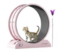 Cat Wheel Exerciser | Kitten Treadmill for Fitness | Large Cat Wheel Exerciser for Indoors, Safety Kitten Treadmill