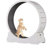 Cat Wheel for Indoor Cats, Pet Treadmill Running Machine, with Brake, Scratching Pads, Cat Exercise Wheel for Health, Perfect for your Energetic Cat,White-L