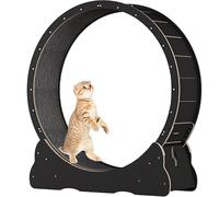 Cat Wheel for Indoor Cats, Pet Treadmill Running Machine, with Brake, Scratching Pads, Cat Exercise Wheel for Health, Perfect for your Energetic Cat,Black-L