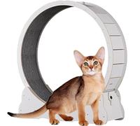 Cat Wheel for Indoor Cats, Wooden Cat Exercise Wheel, Cat Running Wheel with Brake, Cat Interactive Toy, with Lock And Carpeted, Fitness Weight Loss Device for Cats,White-L