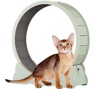 Cat Wheel for Indoor Cats, Wooden Cat Exercise Wheel, Cat Running Wheel with Brake, Cat Interactive Toy, with Lock And Carpeted, Fitness Weight Loss Device for Cats,Green-XL