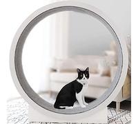Cat wheel, indoor Cat Toys Kitten Exercise Wheel Pet Climbing Frame Ferris Smooth Run Freely,low Noise