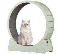 Cat Wheel Indoor Treadmill, Interactive Exercise Machine with Brake, Lock, and Carpeted Base for Healthy Cat Play, Pet Activity Toy