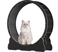 Cat Wheel Indoor Treadmill, Interactive Exercise Machine with Brake, Lock, and Carpeted Base for Healthy Cat Play, Pet Activity Toy