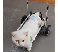 Cat Wheelchair for Disabled or Paralyzed Pets, Mobility Aid Support for Elderly Kittens with Arthritis or Weak Legs, Assistive Walking Device
