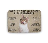 Cat When Visiting My House Please Remember Cat Indoor Door Mat Front Door Mat Non-Slip Rubber Backing Entrance Rug 16x24 Inch