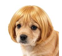 Cat Wig Adjustable Human-Style Funny Bangs