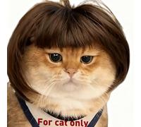 Cat Wig for cat only- Small Size for Tiny Animals Such as Goose Duck and Chicken DIY Haircut & Adjustable Fit - Cat & Dog Costume for Halloween, Party, Photo Shoots