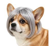 Cat Wigs Adjustable Human-Style Funny Bangs