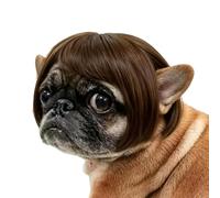 Cat Wigs Human-Style Adjustable Funny Bangs