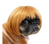 Cat Wigs Human-Style Adjustable Funny Bangs