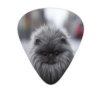 Cat with gray hair 12 Pack Guitar Picks Plectrums,4 pieces in each of 3 sizes, Suitable for a wide range of stringed instruments
