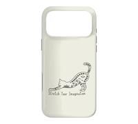 Cat with Stretch Your Imagination Case for iPhone 17 Pro Max