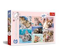Cat World (Children's Puzzle)