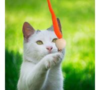 Cat Worm Toy - Cat Ball Toy, Soft Plush Cat Toys | Large Cat Crinkle Toys, Roller Worm Cat Toy, Colorful Interactive Cat Worm with Bell, Funny Wobbly Cat Bell Toy Safe Health Sports