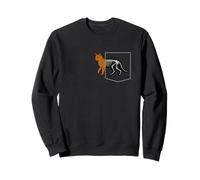Cat Xray Pocket Cute Kitten Lover Feline Pet Owner Kitty Sweatshirt