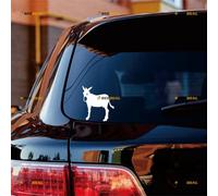 Catalan Ane Burro Donkey Sticker Decal Vinyl Catalana Spain - 2 Pack White 10.2cm - for Car Boat Laptop Cup No Background Die-Cut
