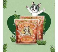 Catalyst Natural Soft Wood Cat Litter (2 Pack, 10lb Bags) - Superior Odor Control, Strong Clumping, Low Dust, and Biodegradable (10lb, Set of 2, Multi Cat)