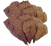 Catappa Indian Almond Leaves For Betta Fish Tank Water, Catappa Leaves Reduce Stress Shrimp Aquarium Care Lower PH Balance Water Conditioner For Fish Tank, Turtle Tank, And Aquarium
