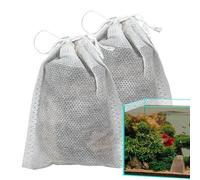 Catappa Leaves - 10 Counts Indian Almond Betta Leaves, Natural Shrimp Tank Leaf Litter, Bioactive Tannin Aquarium Leaves | Creates a Healthy Habitat Environment for Fish Shrimp Tanks