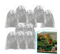 Catappa Leaves For Betta Fish | Catappa Leaves Beta Fish Leaves,Betta And Shrimp Leaves To Be Health Better, Vitality, For Succesful Breeding, Overall Development In Fish Tank Aquarium