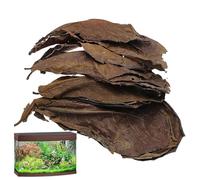 Catappa Leaves - Indian Almond Leaves Aquarium | Betta Fish Mixed | 10pcs Aquarium Leaf Betta Fish Toys Almond Leavess 10pcs Catappa Leaf to Lower Ph Level and Improve Water Quality