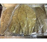 catappa-leaves Sea Almond Leaves 50 - For Fish & Shrimp, Aquarium Decoration, pH Reduction, Disease Prevention